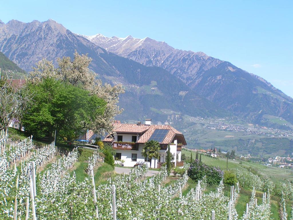 Unterbrunnerhof Daire Lana Dış mekan fotoğraf
