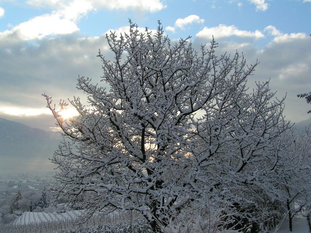 Unterbrunnerhof Daire Lana Oda fotoğraf
