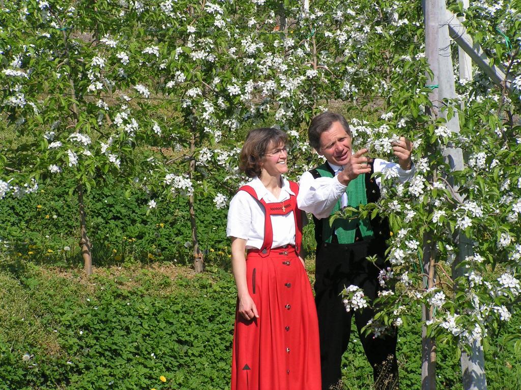 Unterbrunnerhof Daire Lana Oda fotoğraf